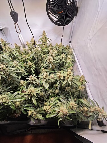 MVIMG_20251116_204250