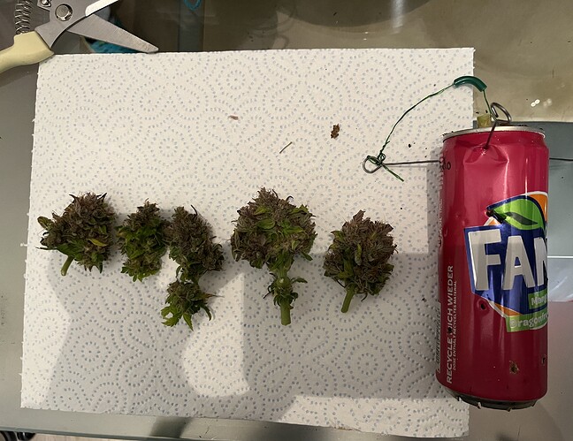 Growreport Bild 2