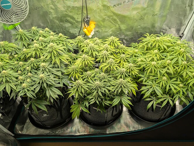 Growreport Bild 4