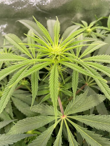 Growreport Bild 21