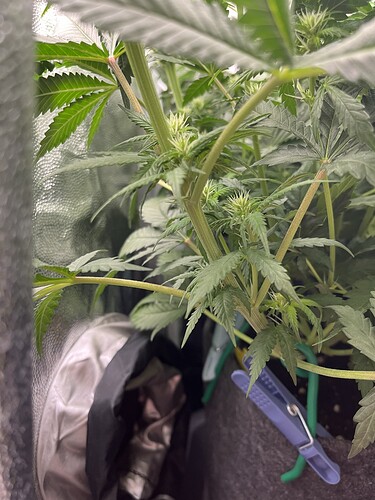 Growreport Bild 13
