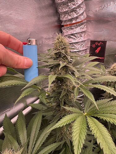 Growreport Bild 16
