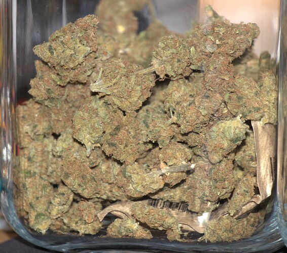 Growreport Bild 54