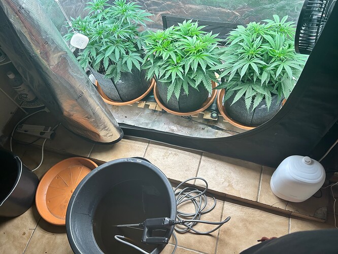 Growreport Bild 25