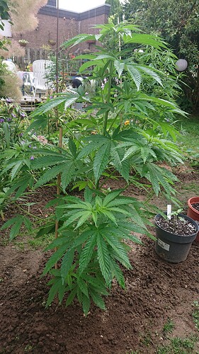 Growreport Bild 22