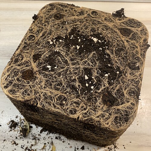 Growreport Bild 5