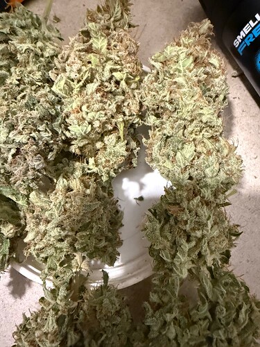 Growreport Bild 14