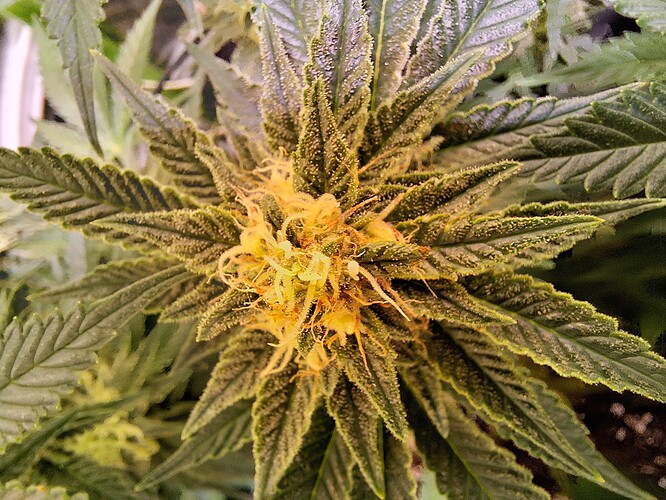 Growreport Bild 9