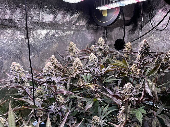 Growreport Bild 7