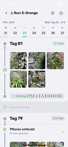 Growreport Bild 12