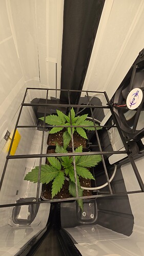 Growreport Bild 8