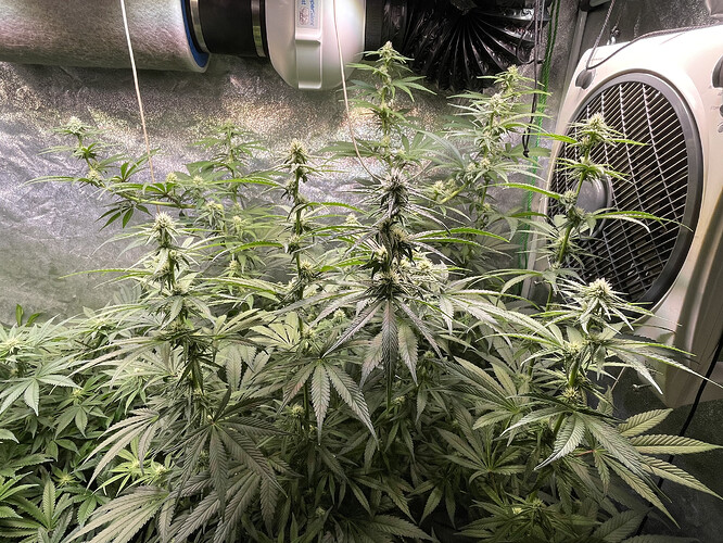 Growreport Bild 2