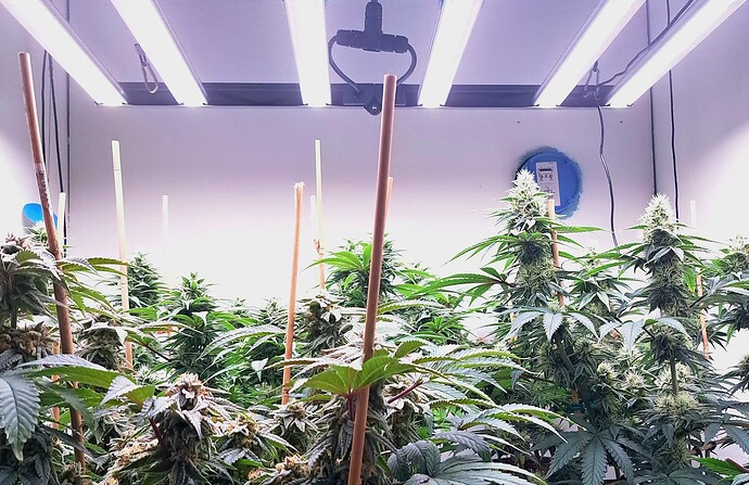 Growreport Bild 20