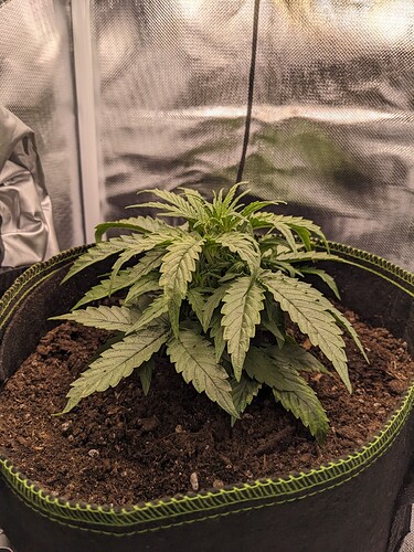 PXL_20240510_214213380