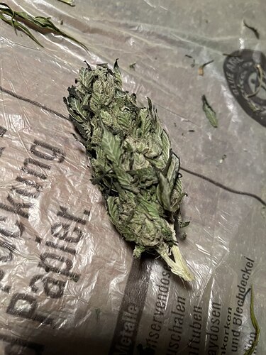 photo_2024-11-04_23-25-33