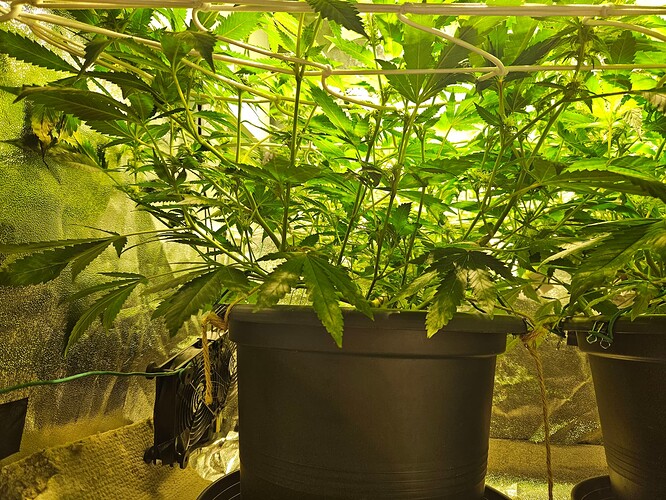 Growreport Bild 6