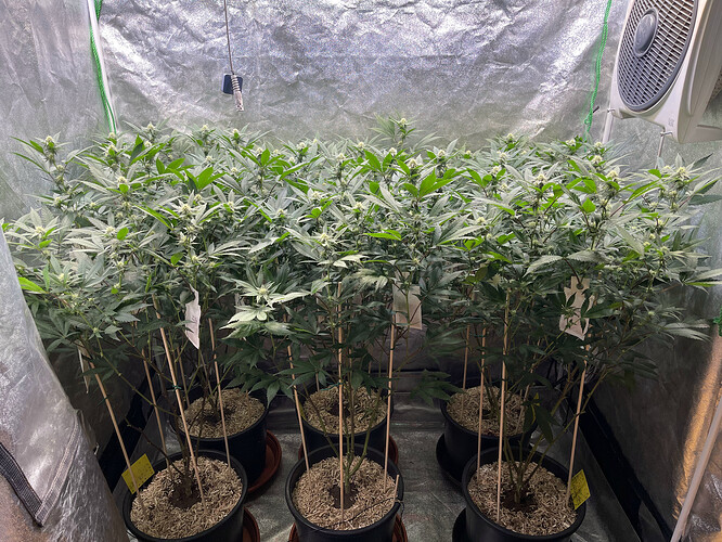 Growreport Bild 28