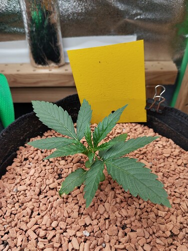 Growreport Bild 24