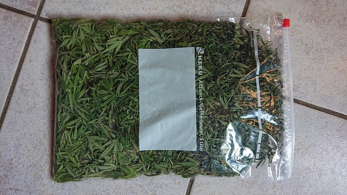 Growreport Bild 14