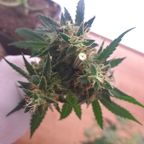 Growreport Bild 14