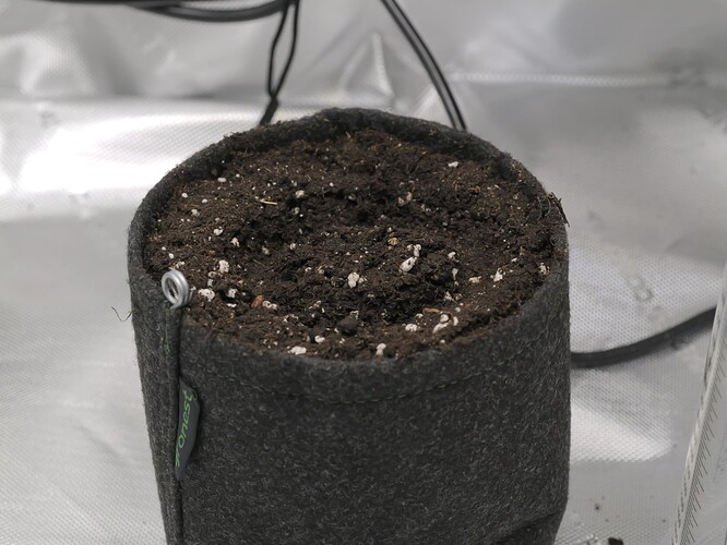 Growreport Bild 2
