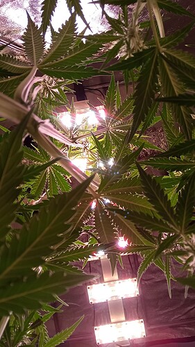 IMG_20240502_105619_893