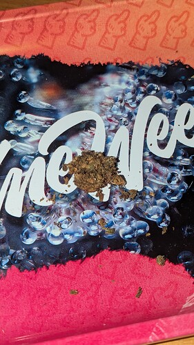 PXL_20250815_164122103