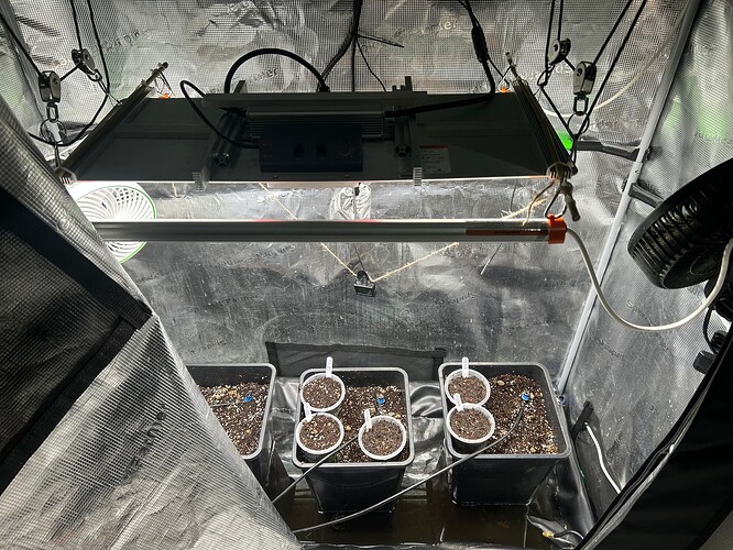 Growreport Bild 84