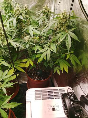 Compress_20260404_150122_2271