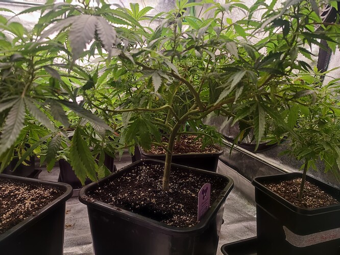 Growreport Bild 24