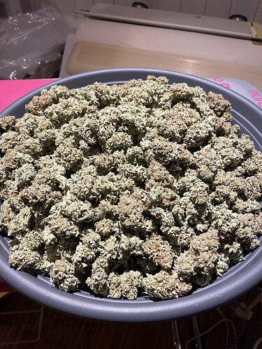 Growreport Bild 19