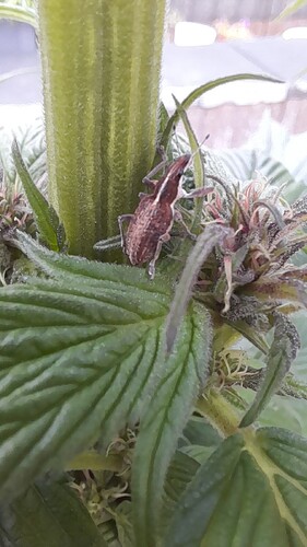 Growreport Bild 10
