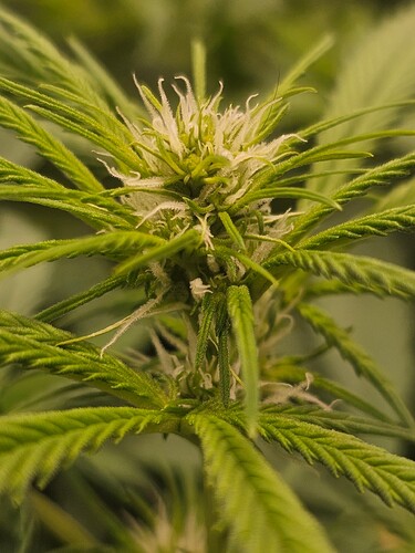 Growreport Bild 23