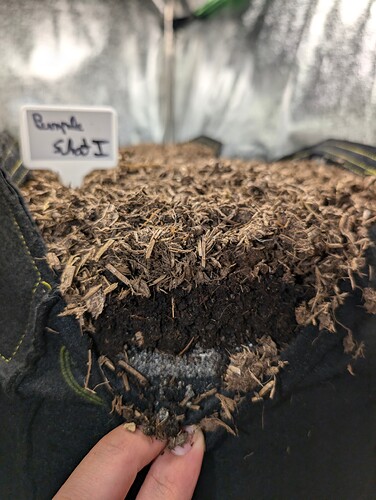Growreport Bild 8