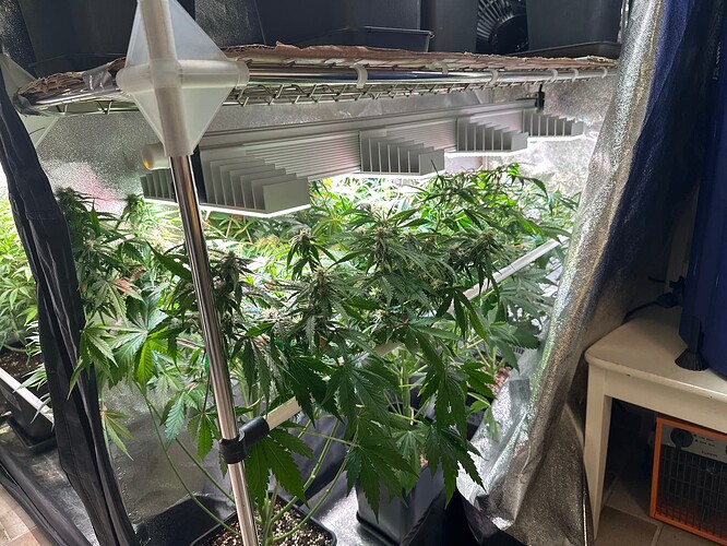 Growreport Bild 6