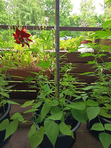 Growreport Bild 11