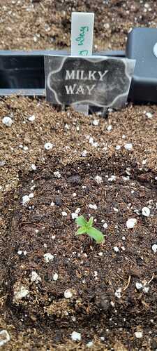 WhatsApp Image 2025-11-19 at 21.56.44 (2)