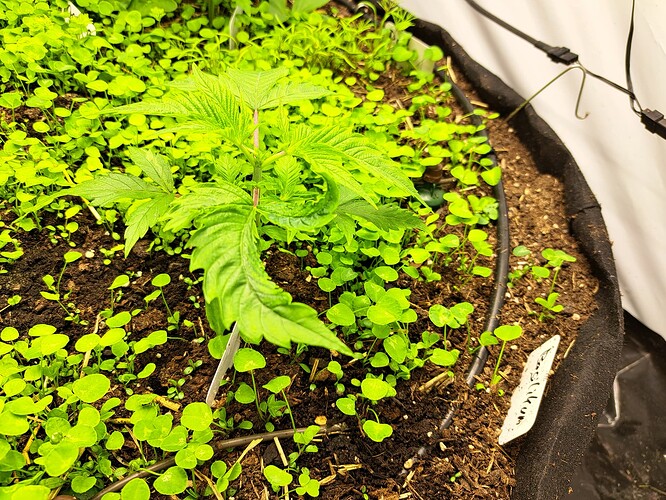 Growreport Bild 14
