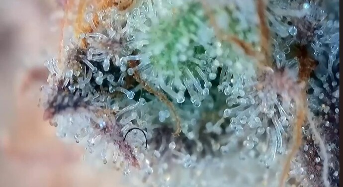 Growreport Bild 17