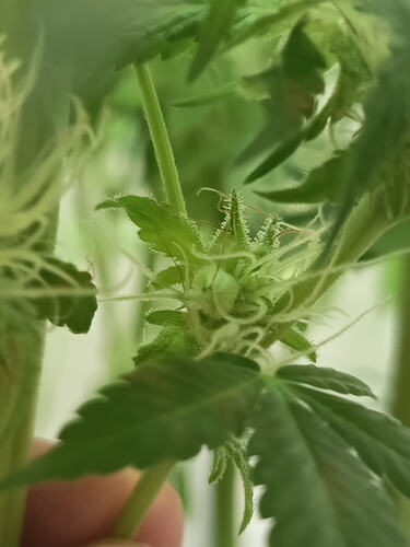 Growreport Bild 20