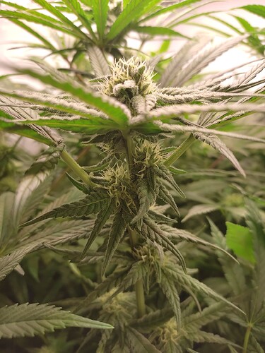 Growreport Bild 22