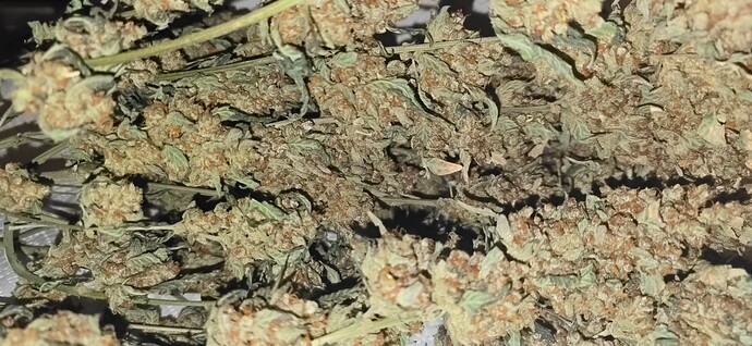 Growreport Bild 2