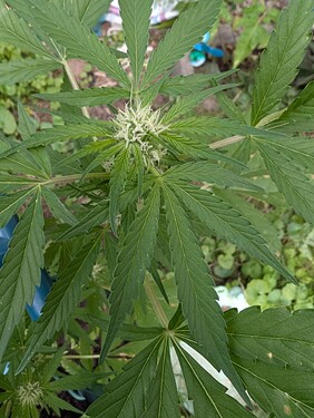 PXL_20250924_135749620