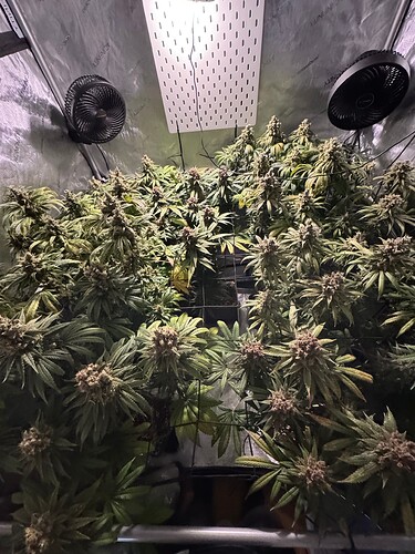 Growreport Bild 19