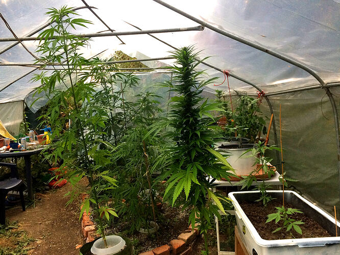 Grow26_0730_14