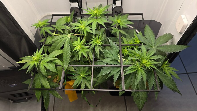 Growreport Bild 5