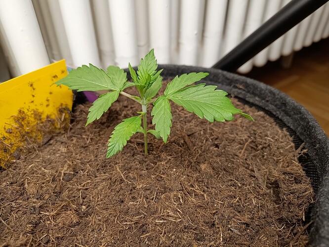 IMG_20240506_184356043