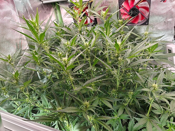 Growreport Bild 17
