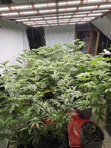Growreport Bild 30