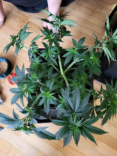 Growreport Bild 12